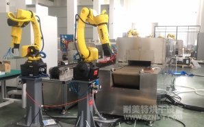 NMT-ZP-108 疫苗玻璃瓶小型預熱加固化自動裝配線(蘇州?？松?